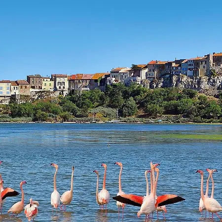 Moderne Sur Vila Narbonne